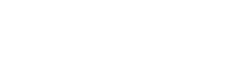 FleetInsure